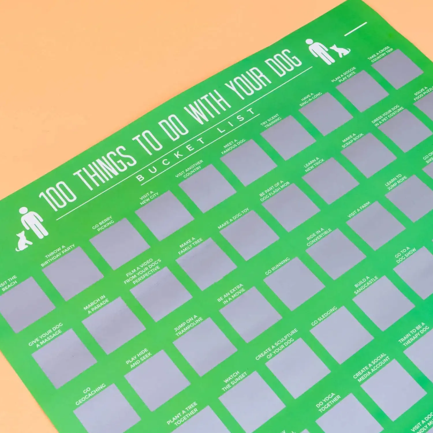 Ditverzinjeniet Posters|100 Things to do with your dog krasposter