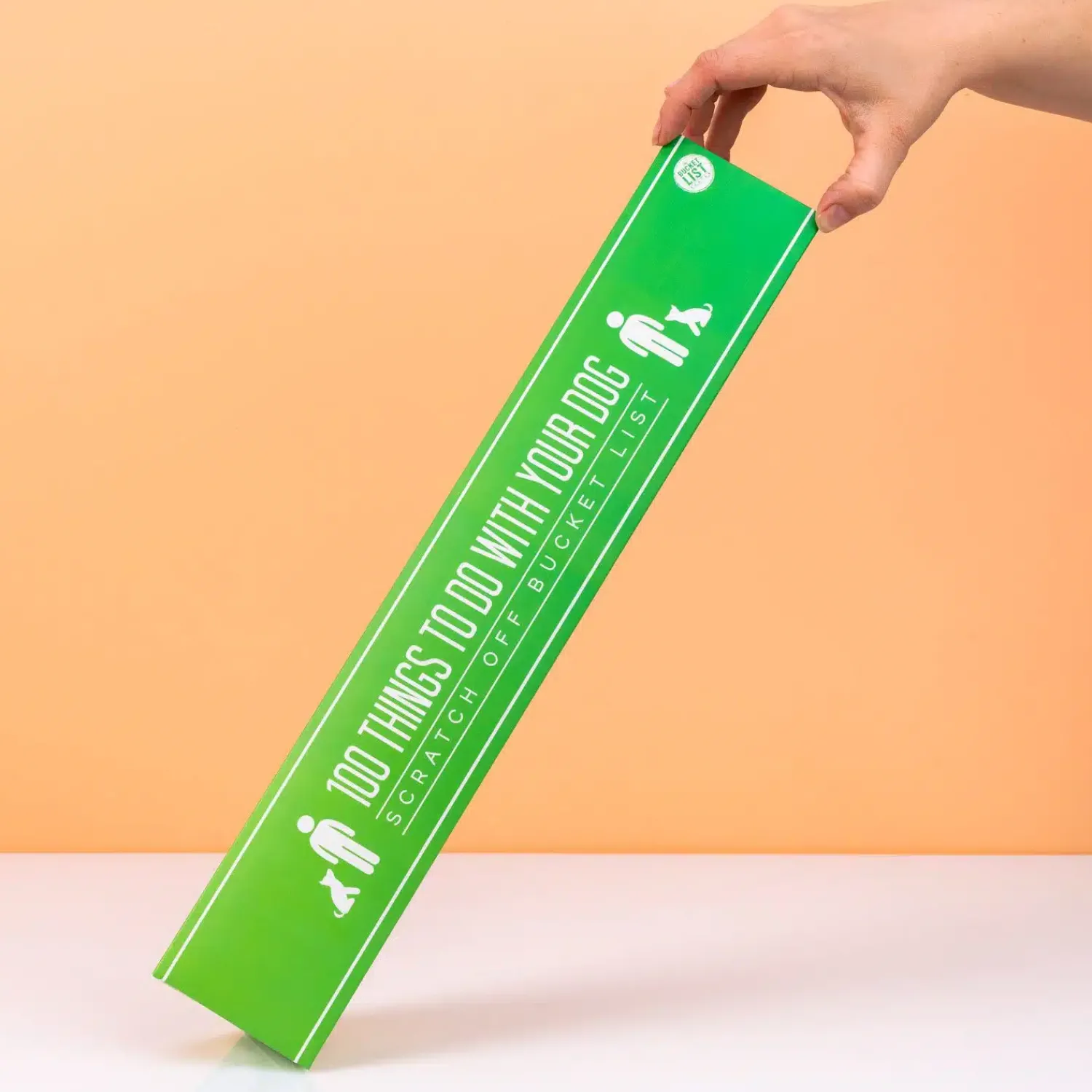 Ditverzinjeniet Posters|100 Things to do with your dog krasposter