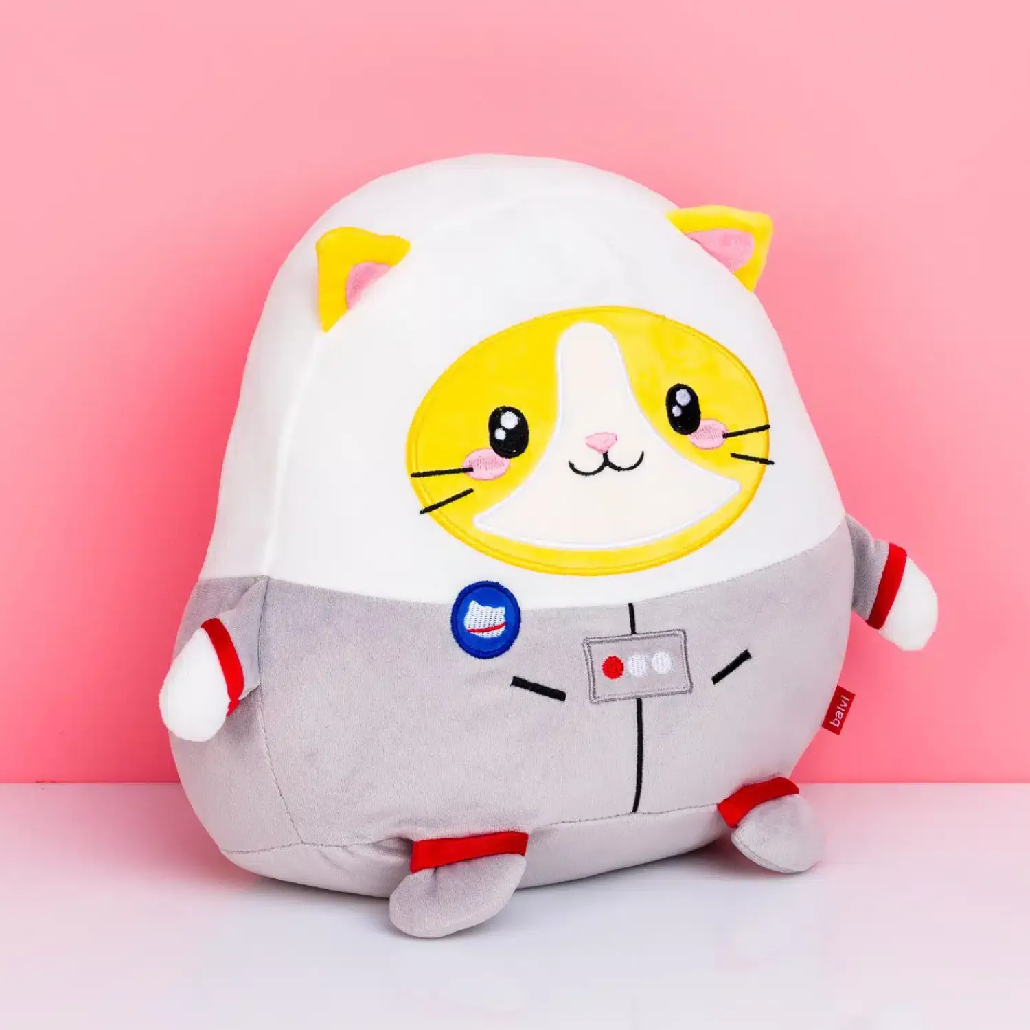 Ditverzinjeniet Slaapkamer|Astrokat kussen