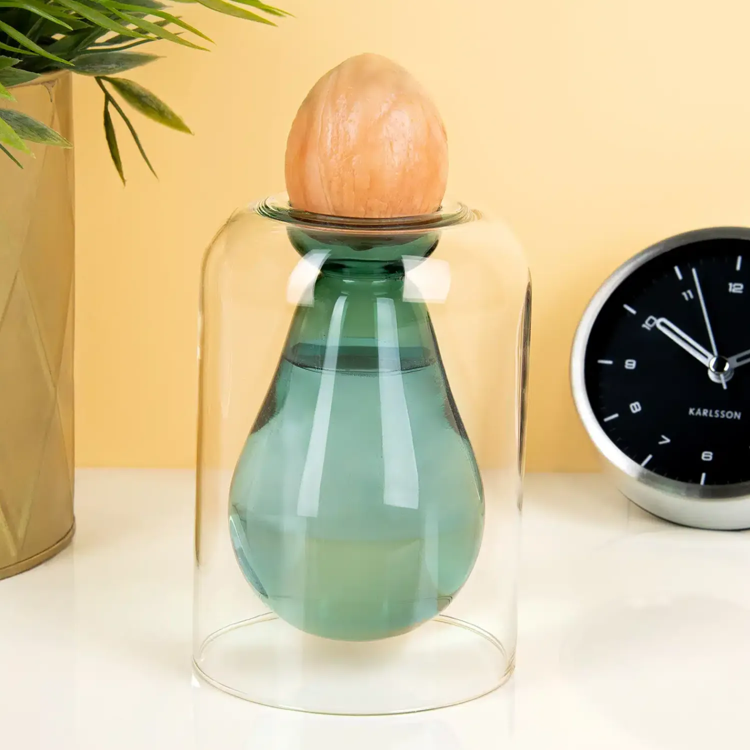 Ditverzinjeniet Vazen|Avocado ontkiemvaas