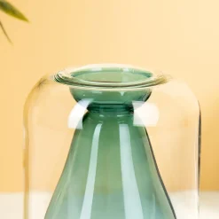 Ditverzinjeniet Vazen|Avocado ontkiemvaas