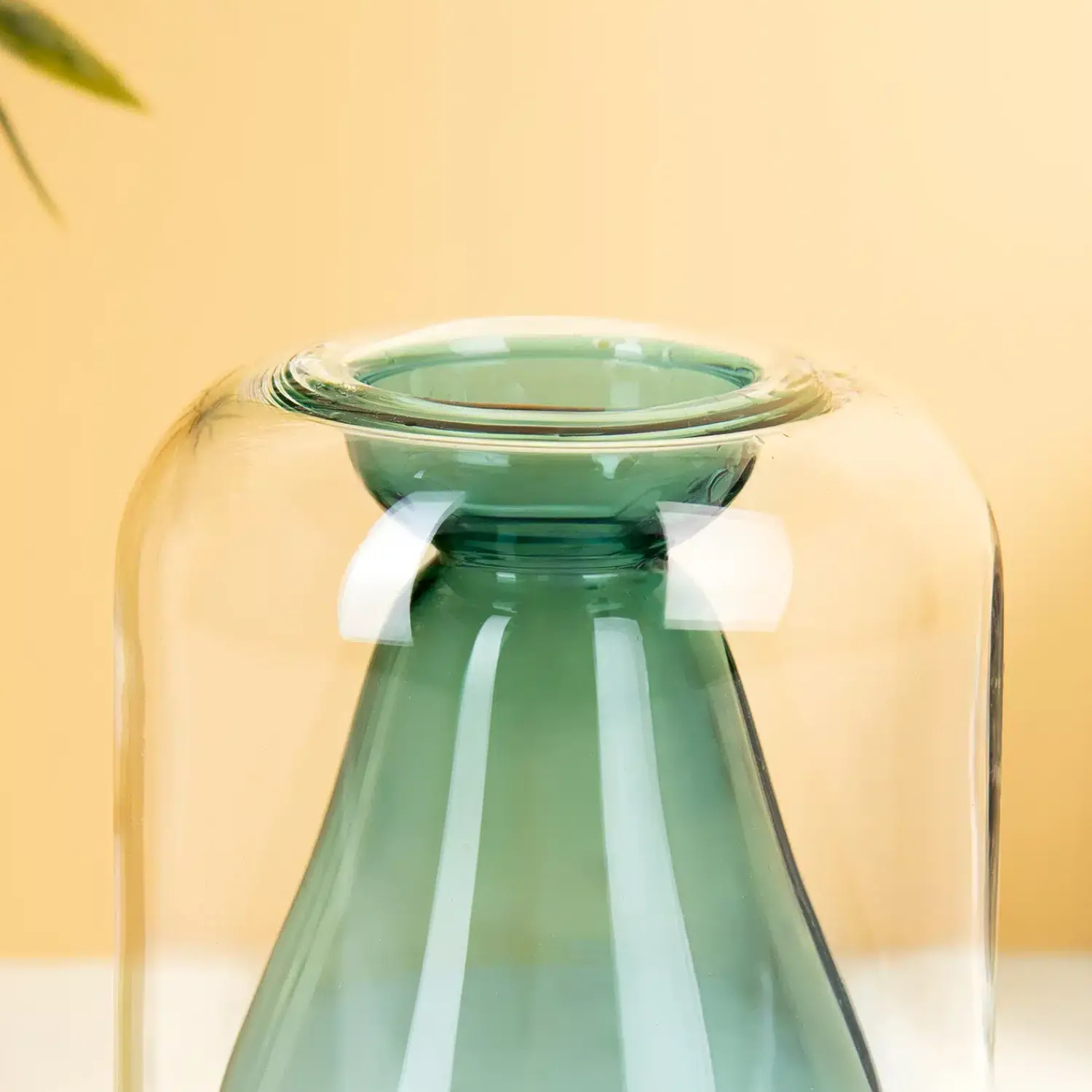 Ditverzinjeniet Vazen|Avocado ontkiemvaas