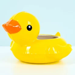 Ditverzinjeniet Bloempotten|Badeend zwemband potje