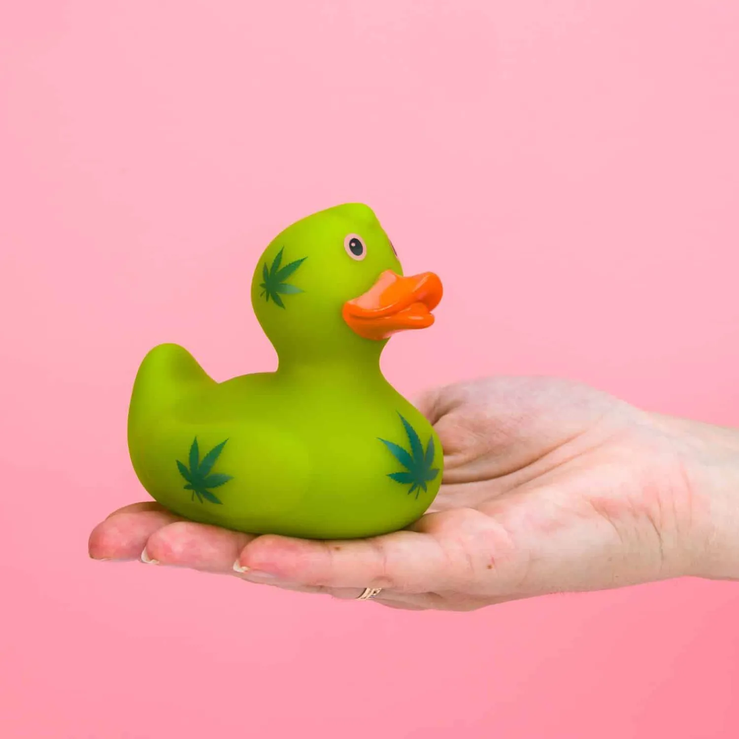 Ditverzinjeniet Badkamer|Sport|Badeendje