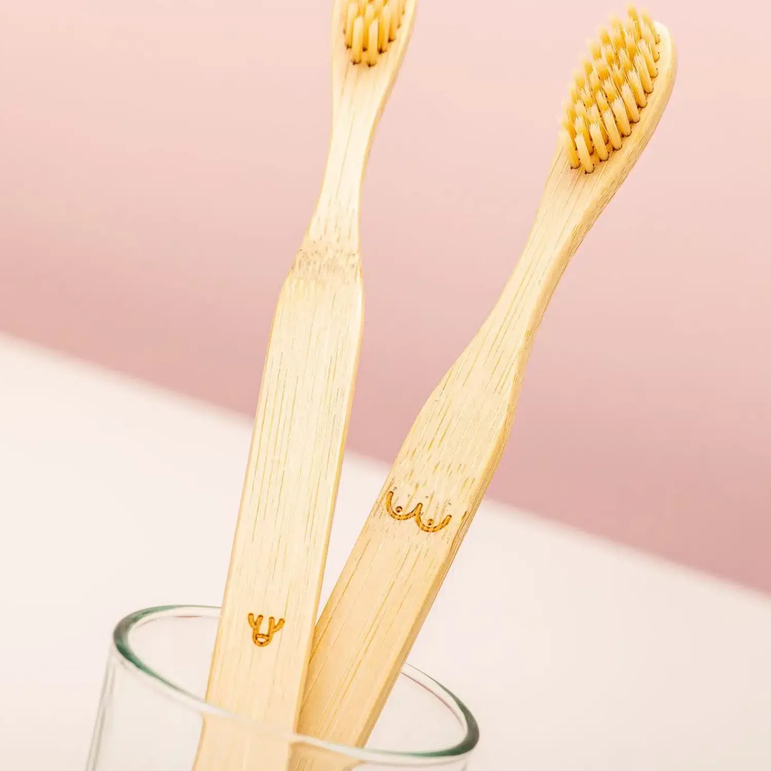 Ditverzinjeniet Duurzaam|Badkamer|Bamboe tandenborstels (set van 2)