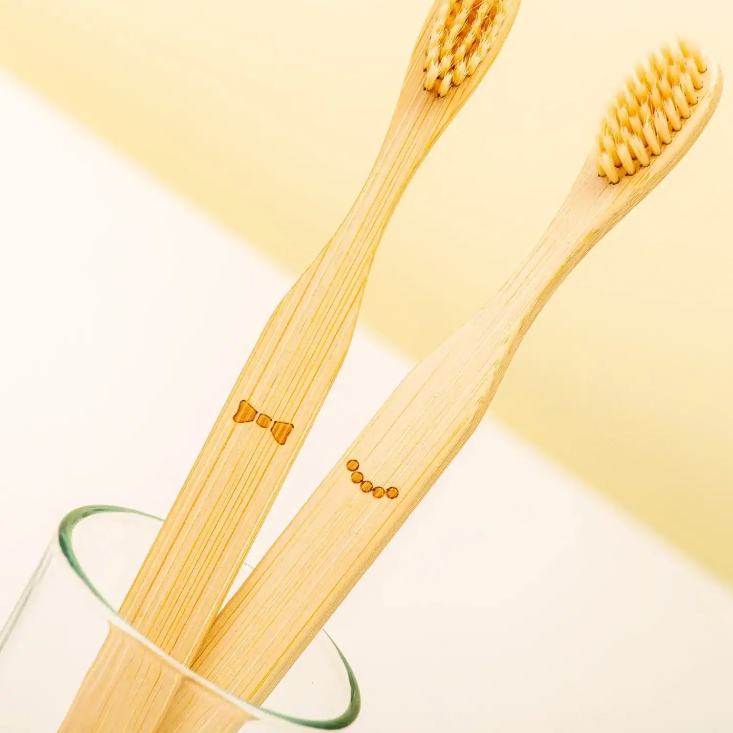 Ditverzinjeniet Duurzaam|Badkamer|Bamboe tandenborstels (set van 2)