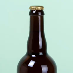 Ditverzinjeniet Bierflessen|Bierfles Niet storen ik kijk voetbal (750 ml)