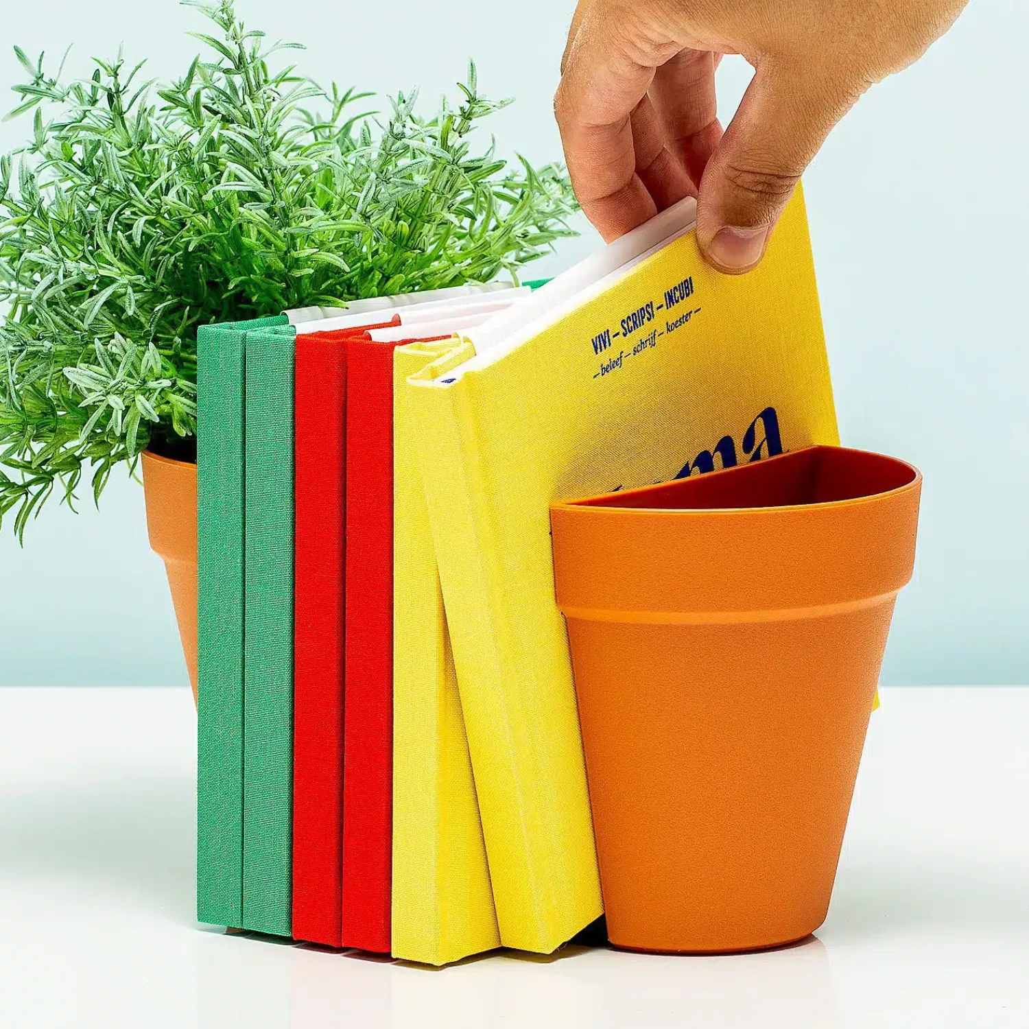 Ditverzinjeniet Boekensteunen|Bloempotten|Bloempot Boekensteun