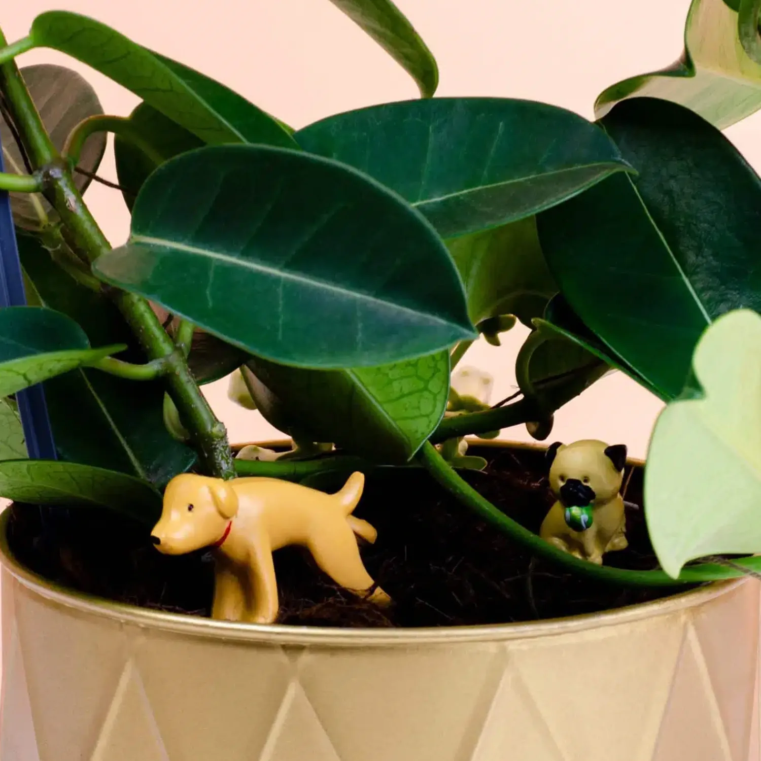 Ditverzinjeniet Bloempotten|Bloempot honden (set van 4)