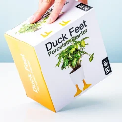 Ditverzinjeniet Bloempotten|Bloempot met eendenpoten