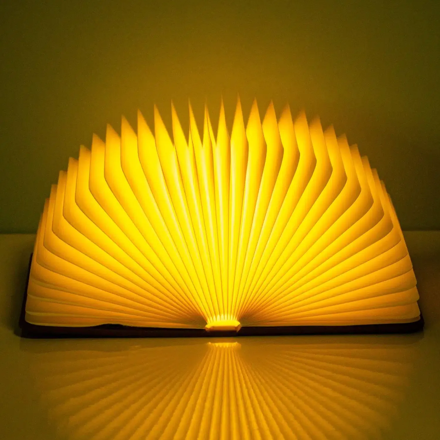 Ditverzinjeniet Verlichting|Boek ledlamp