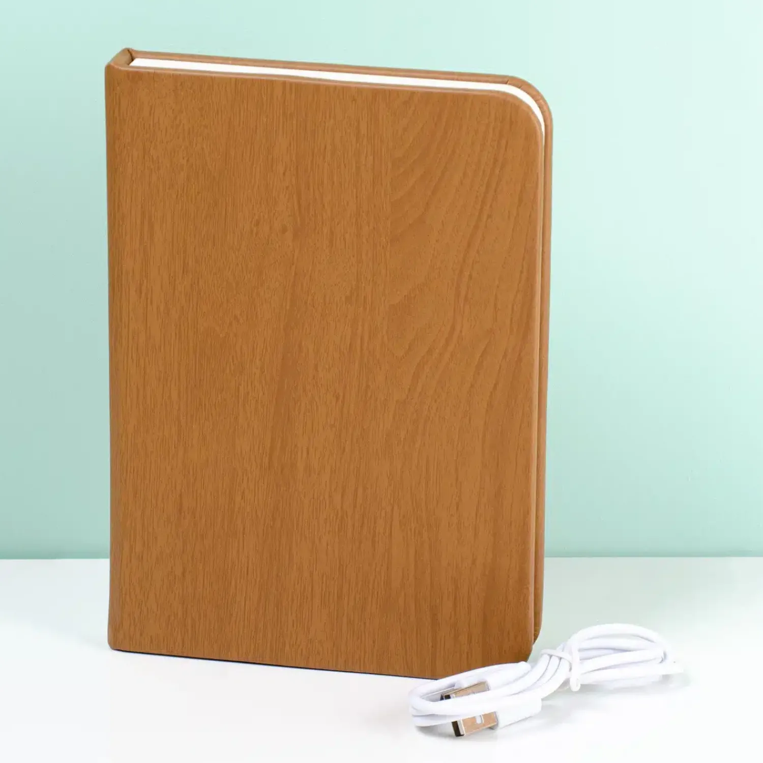 Ditverzinjeniet Verlichting|Boek ledlamp