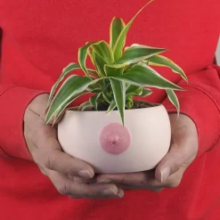 Ditverzinjeniet Bloempotten|Borst Kom