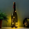 Ditverzinjeniet Bbq Accessoires|Verlichting|Bottle Stringlights