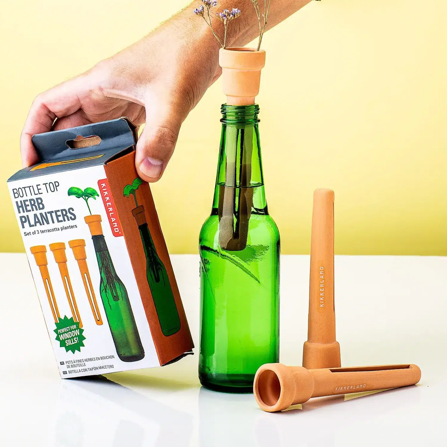 Ditverzinjeniet Vazen|Bottle top herb planters (set van 3)