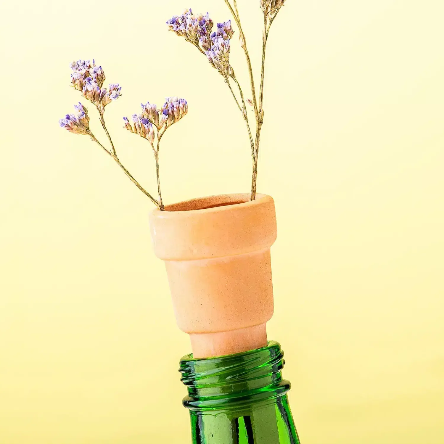 Ditverzinjeniet Vazen|Bottle top herb planters (set van 3)