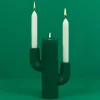 Ditverzinjeniet Kaarsen En Kandelaars|Cactus kandelaar
