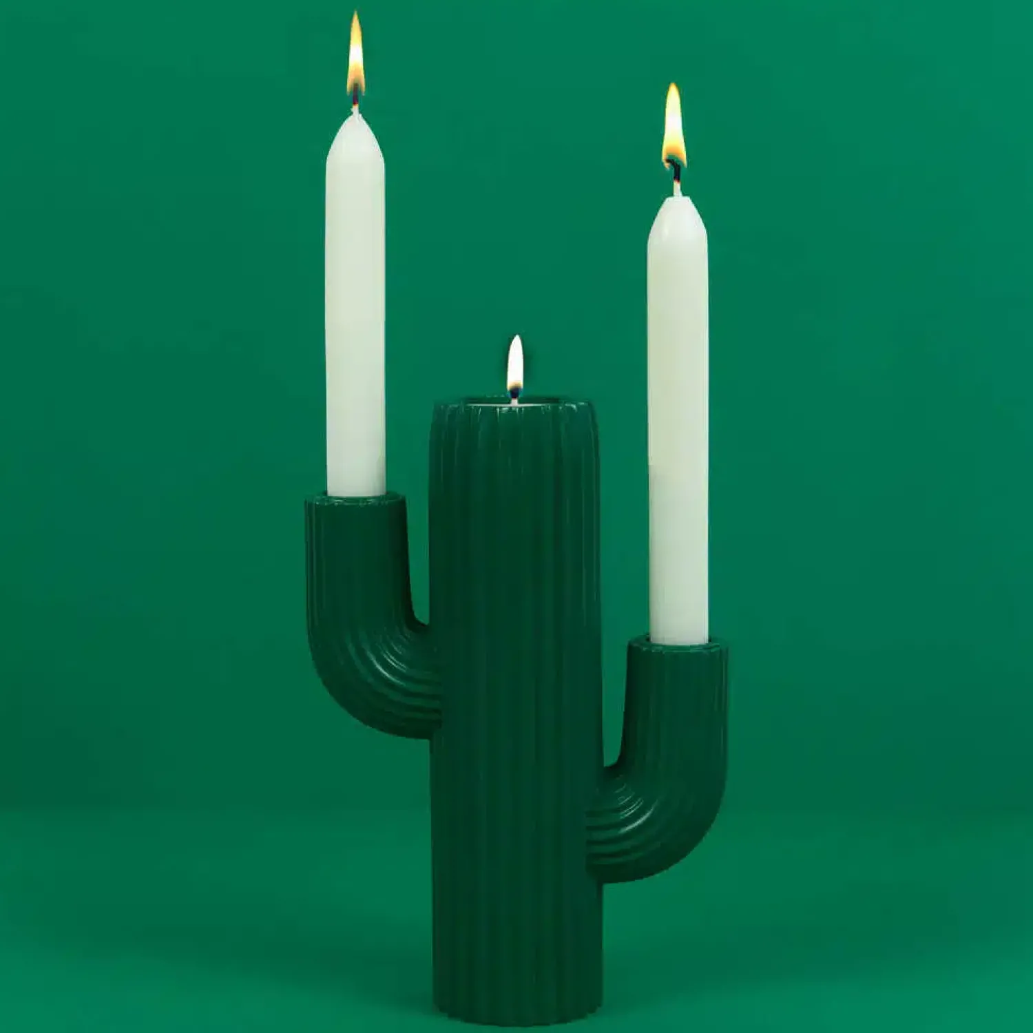 Ditverzinjeniet Kaarsen En Kandelaars|Cactus kandelaar