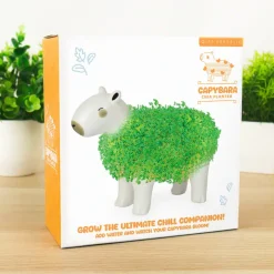 Ditverzinjeniet Bloempotten|Capibara bloempot met zaadjes