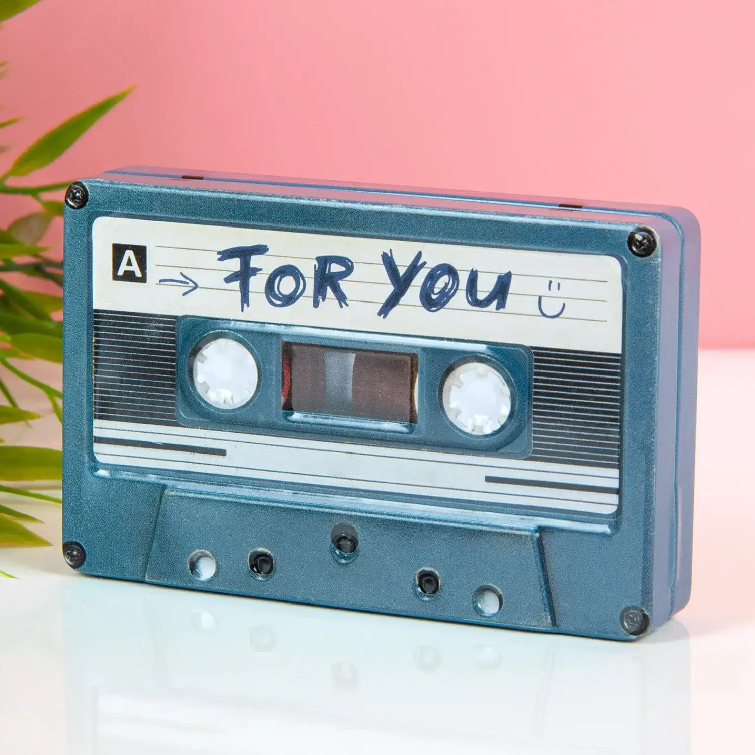 Ditverzinjeniet Retro|Muziek|Cassettebandje opbergblikje