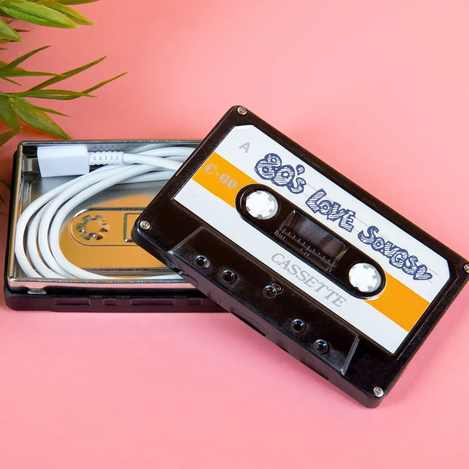 Ditverzinjeniet Retro|Muziek|Cassettebandje opbergblikje