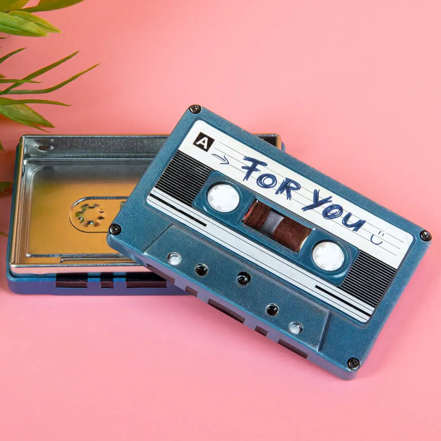 Ditverzinjeniet Retro|Muziek|Cassettebandje opbergblikje