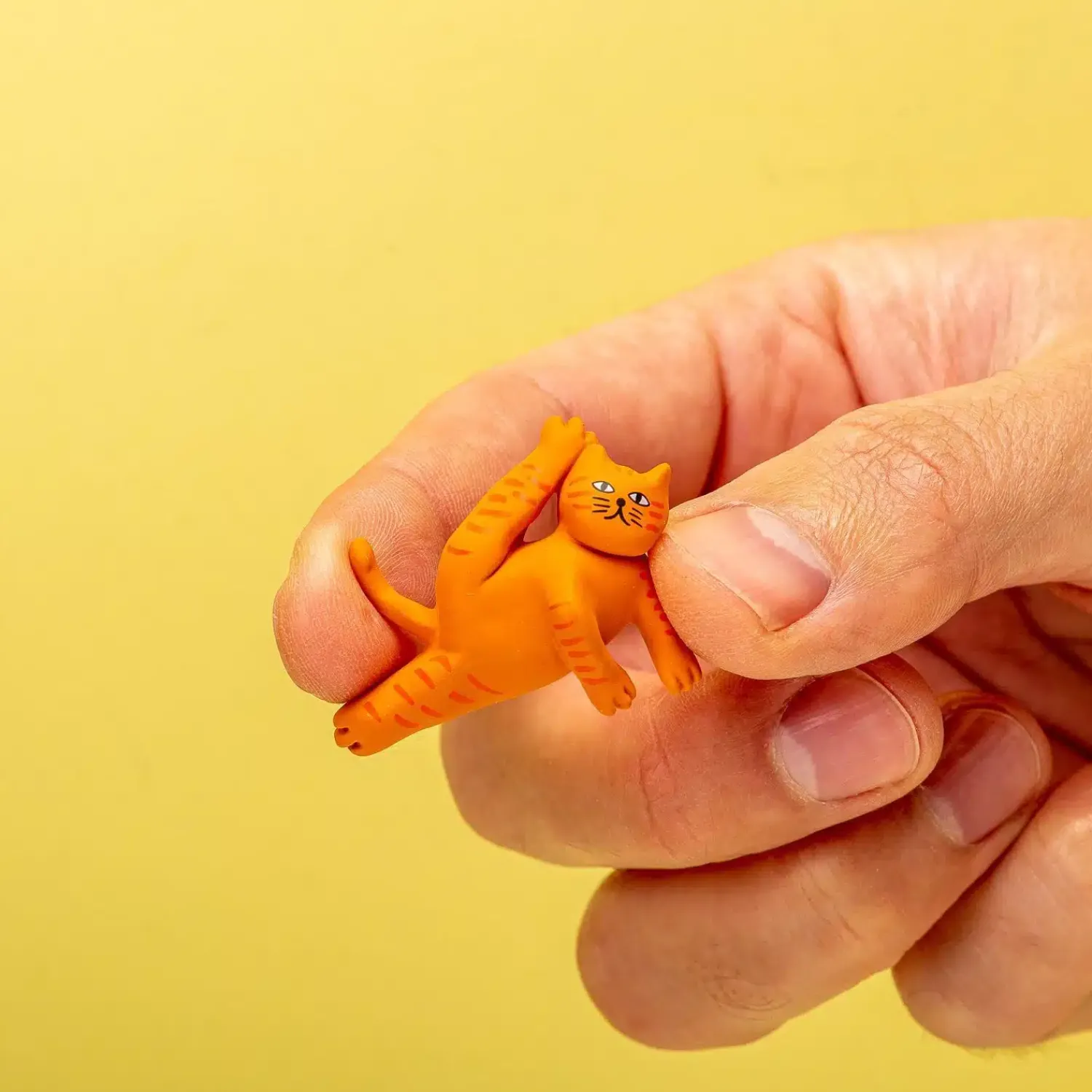 Ditverzinjeniet Sport|Cat yoga magneten (set van 5)