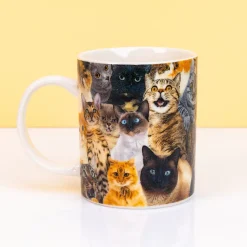 Ditverzinjeniet Mokken & Glazen|Crazy Cat mok