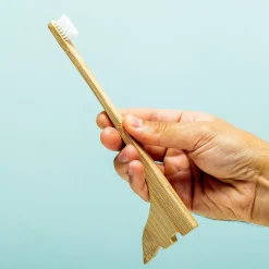 Ditverzinjeniet Duurzaam|Badkamer|Dinosaurus tandenborstel