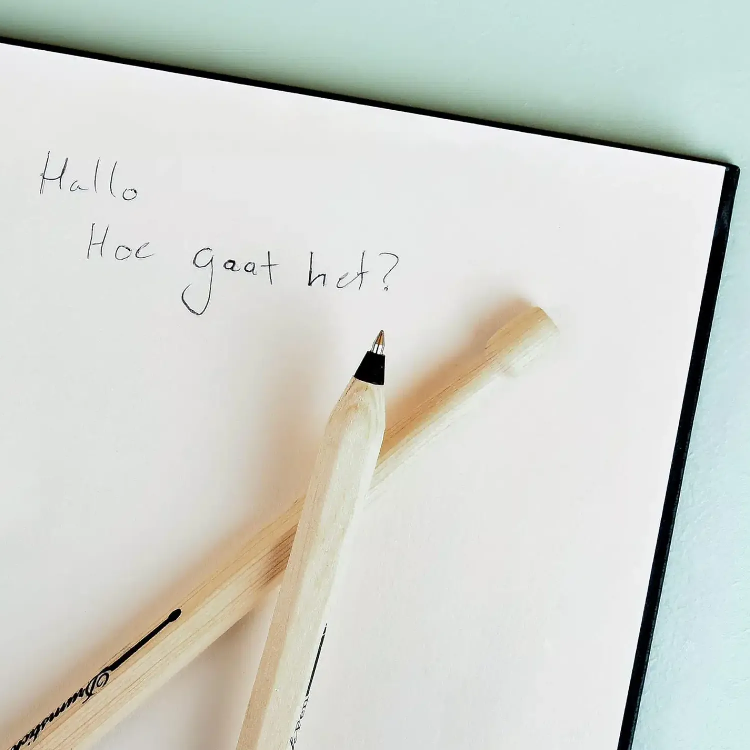 Ditverzinjeniet Muziek|Drumstick pennen (Set Van 2)