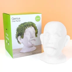 Ditverzinjeniet Bloempotten|Einstein bloempot met zaadjes