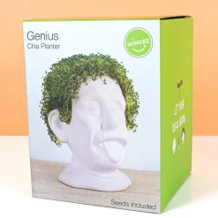 Ditverzinjeniet Bloempotten|Einstein bloempot met zaadjes