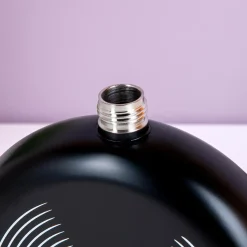 Ditverzinjeniet Retro|Elpee heupflacon