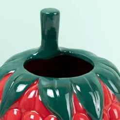 Ditverzinjeniet Vazen|Framboos vaas