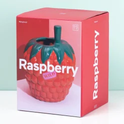 Ditverzinjeniet Vazen|Framboos vaas