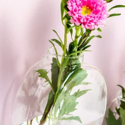 Ditverzinjeniet Vazen|Glazen muurvaasjes (set van 2)