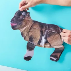 Ditverzinjeniet Sport|Goat Yoga Spel