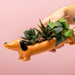 Ditverzinjeniet Bloempotten|Huisdier bloempot