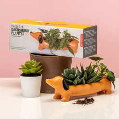 Ditverzinjeniet Bloempotten|Huisdier bloempot