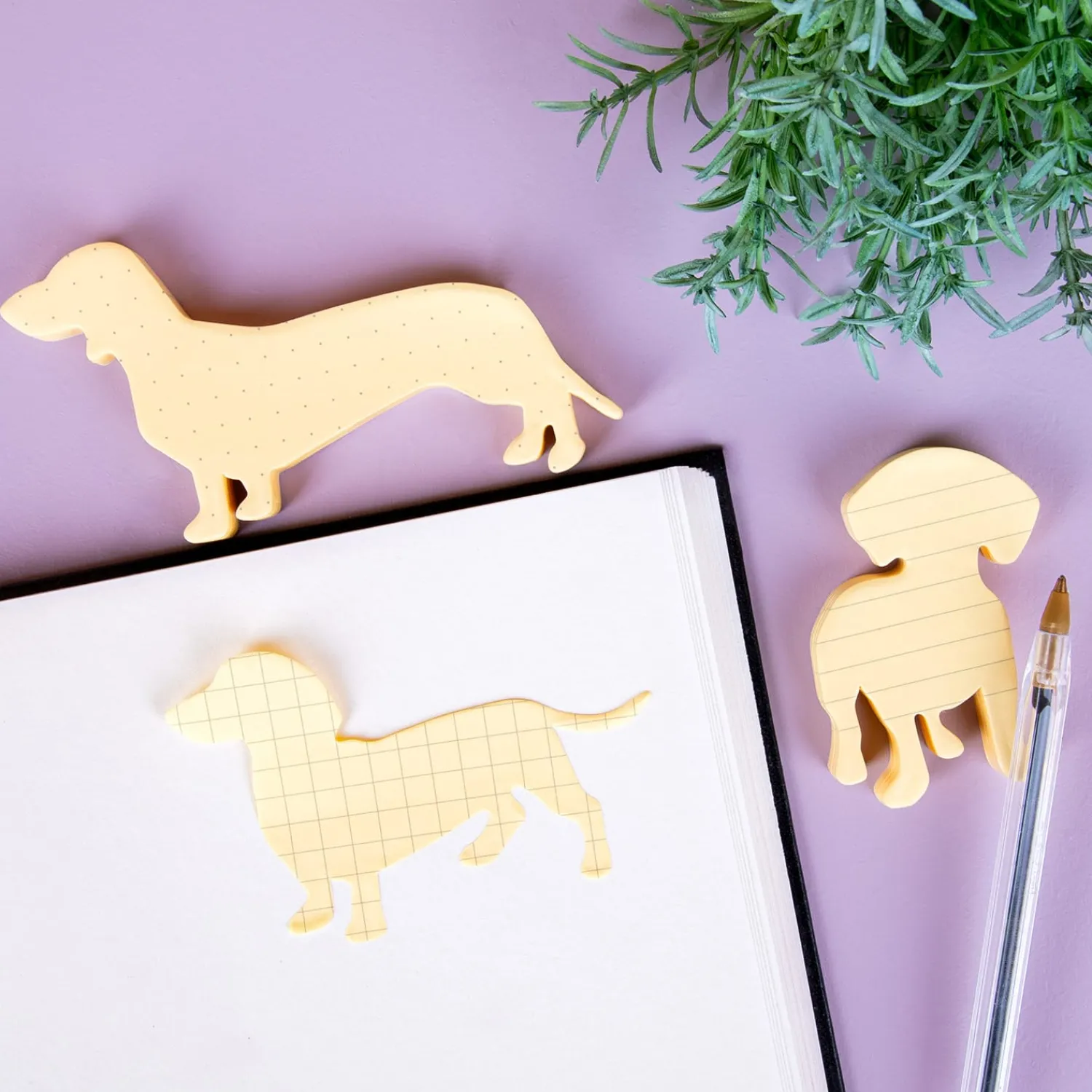 Ditverzinjeniet Kantoor|Huisdier sticky notes (set van 3)