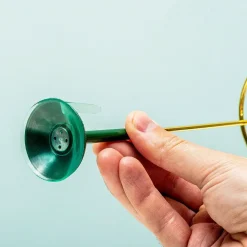 Ditverzinjeniet Vazen|Invisivase bloemstandaard