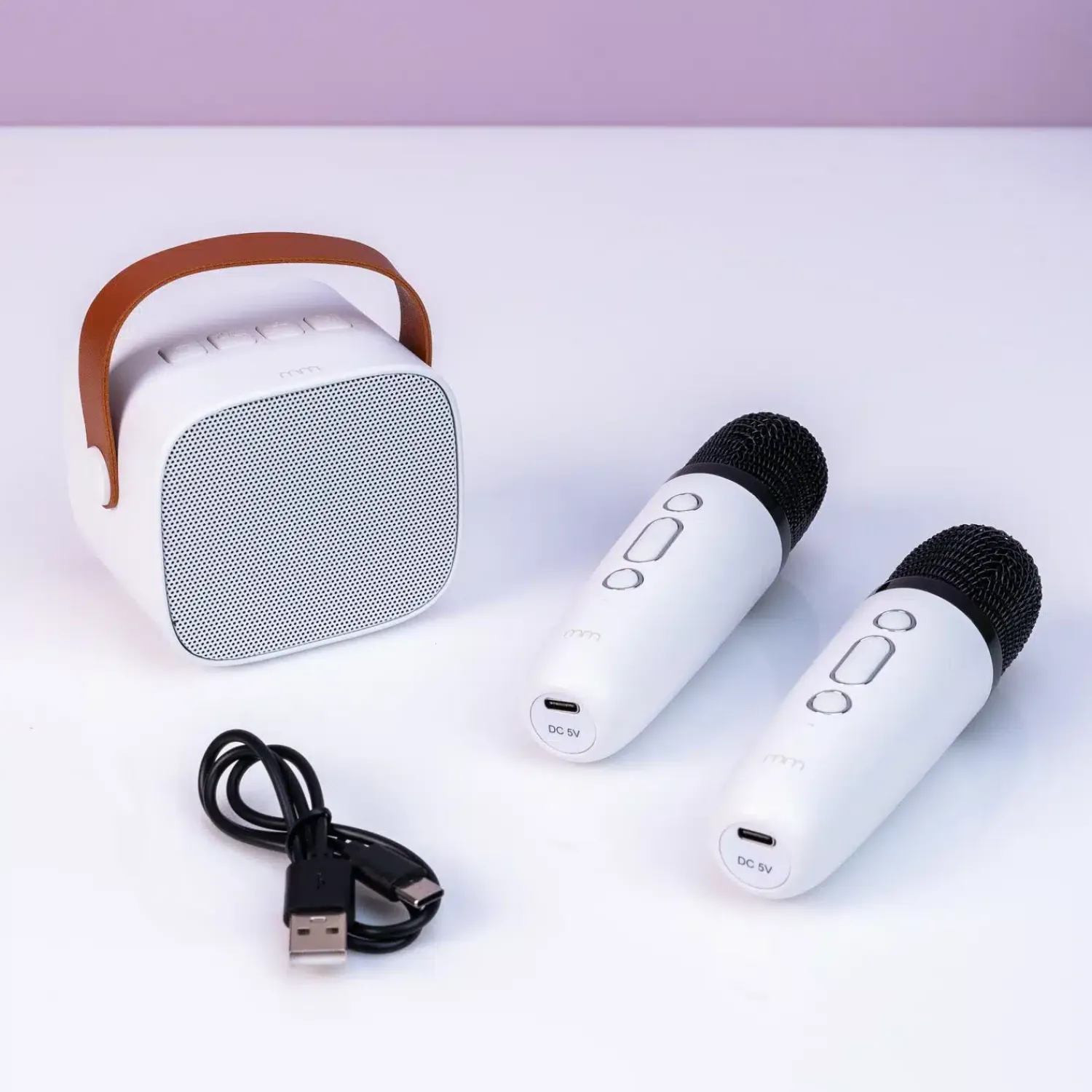 Ditverzinjeniet Muziek|Karaoke 2 Go set