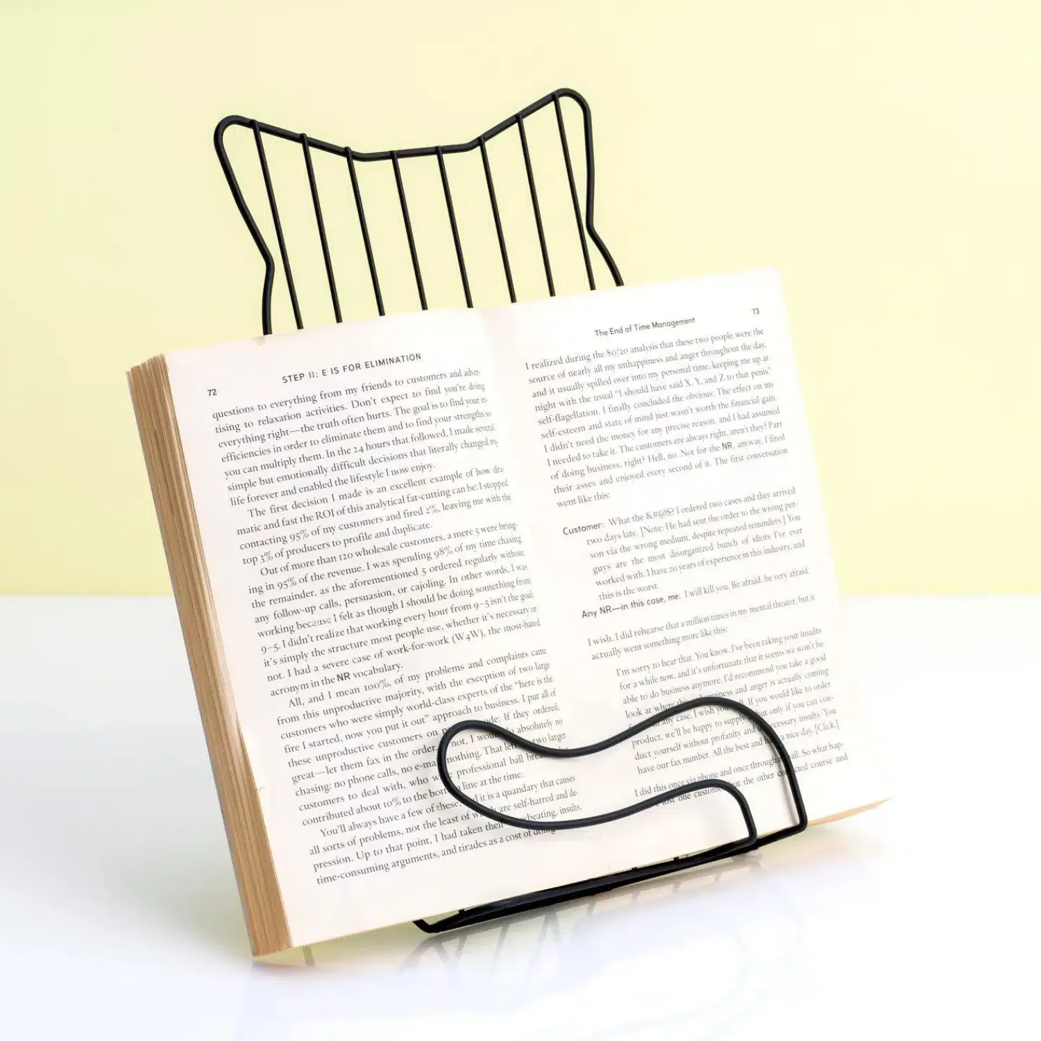 Ditverzinjeniet Boekensteunen|Kat boekenstandaard