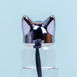 Ditverzinjeniet Duurzaam|Kat waterfles