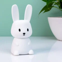 Ditverzinjeniet Slaapkamer|Konijn nachtlampje
