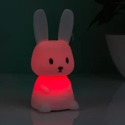 Ditverzinjeniet Slaapkamer|Konijn nachtlampje