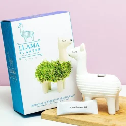 Ditverzinjeniet Bloempotten|Lama bloempot met zaadjes