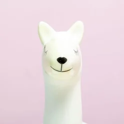 Ditverzinjeniet Bloempotten|Lama bloempot met zaadjes