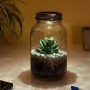 Ditverzinjeniet Verlichting|Lichtgevend terrarium