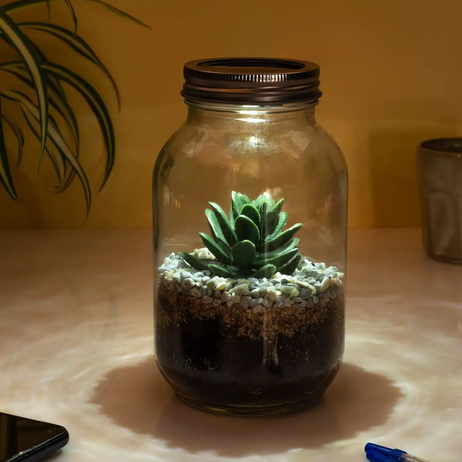 Ditverzinjeniet Verlichting|Lichtgevend terrarium